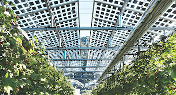 Najnowsze blogi firmy Włochy publikują nowe regulacje dotyczące wyboru lokalizacji dla projektów solarnych i zachęt podatkowych dla energii słonecznej